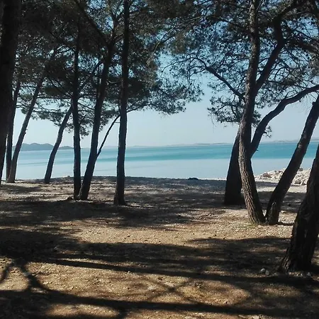 شقة Pretkovic *